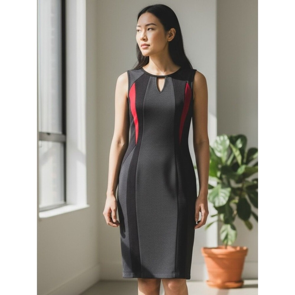 Joseph Ribkoff | Dresses | Joseph Ribkoff Gray Sheath Dress With Red Panels